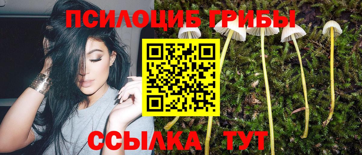Черняховск  Галлюциногенные грибы MAGIC MUSHROOMS  Вход с VPN 